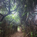 제주 올레길 4코스 이미지