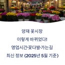 양재동 20-6 사무실용 건축물 | 양재 꽃시장 이렇게 바뀌었다! 영업시간·꽃다발·가는길 최신 정보 (2025년 5월 기준)