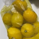 11590-43 | 코스트코 4월 첫째주 꾸준한 재구매 추천템 후기