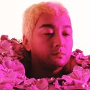 스미스 플라워 이미지