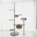 오로라 캣 이미지