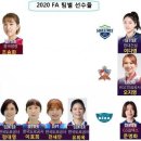 이르긴 하지만 20-21 여자배구 FA ㄷㄷㄷ 합니다 이미지