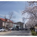 베니샤프커피(본점) 네이버블로그