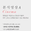 지노필름