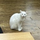 의령휴게소 이미지