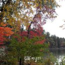 월든 이미지
