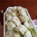 한빛작은도서관 | 2025.11.07~2025.11.09 : 신항로 개척의 역사와 김엔장 후기