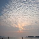 종금주유소 이미지