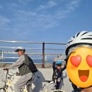 남천동 공영자전거 무료대여소 이미지