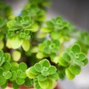 문수한의원 이미지