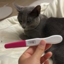 김혜옥칼국수 | B1. 서울역 차병원 초진 후기 | 난임병원 종착지에서 시작하는 임신 준비