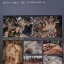 창녕포교당 - 1824 | 22.10.9 창녕 직교리 당간지주-술정리삼층석탑-하씨초가-석빙고-인양사 조성비-사직단-창녕 향교-교동...
