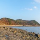 대부도 이찬 자선비 이미지