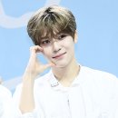 시온에너지 티브이데일리