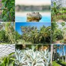 한림공원 이미지