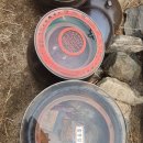 양구농장 이미지