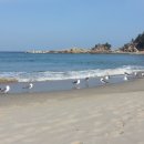 용화2리 이미지