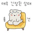 포워드휘트니스 이미지