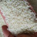 오케이라이스센터 이미지