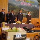 보광중학교