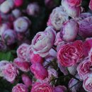 진주유치원 이미지