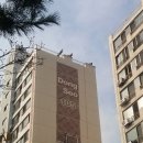 퍼플로보 이미지