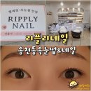 전주 송천동 속눈썹 연장 펌 잘하는 뷰티샵 리플리네일