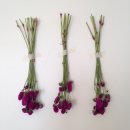 드라이홈패션 이미지