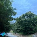 가람편백펜션 | 합천 독채 펜션 합천호가 보이는 가성비좋은 가람펜션캠핑장