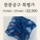 퍼스널댕댕 이미지