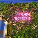 언니야맘