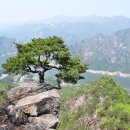 구미상록수관광