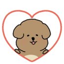 토천손칼국수 이미지