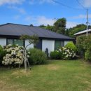 하도탐나 이미지