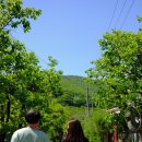 우연1972 이미지