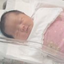 선린자모의원 이미지