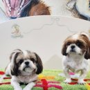 파주힐링몽 이미지