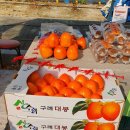 에벤에셀구기자농장