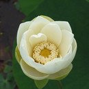 (주) 미소산후조리원 이미지