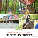 2025 제주 어린이날 행사 가볼만한곳 5월 제주도 여행지 추천