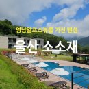 가지산온천주 | 울산 소소재 펜션 주변 맛집, 추천 호실, 시설 총정리