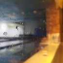 프리라움 수영장 이미지