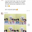 편안하댕 이미지