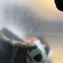 원스김치찌개 | 12월 2주차 | 잔잔히 흘러가는 날들