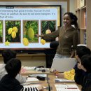 평촌정상어학원 이미지