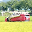 농협양곡(주) 안동라이스센터 | [안동시] 2020년산 벼 공공비축미곡 매입 시작