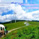 파랑새목장 이미지