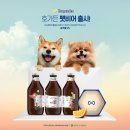 우리집 강아지 이미지