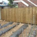 달자네식당 이미지