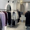 댕댕이아지트 | 스타일 지수를 확 올려줄 비밀 아지트를 찾았어요!